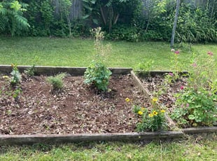 Weeding by Joel Laumas for Robert M. in Lexington, KY