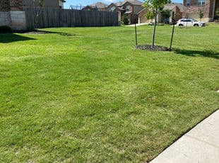 Hunter M.'s Lawn Mowing service result