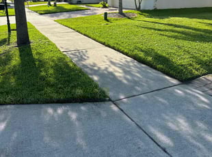 Tami S.'s Grass Cutting service result