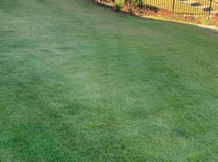 Damon T.'s Lawn Service service result