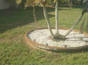 Weeding by Richard Rhoden for Subreena G. in Lake Wales, FL