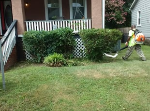 Bush Trimming by Arthur Haskins for Kayla W. in Richmond, VA
