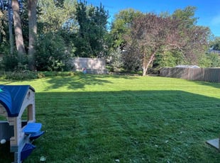 Michelle M.'s Lawn Mowing service result