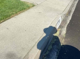 Courtney D.'s Yard Cutting service result