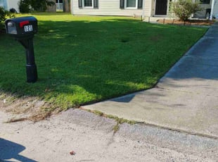 Vanessa H.'s Lawn Care service result