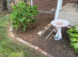 Weeding by Manny Chavez for Aaron V. in Woodbridge, VA