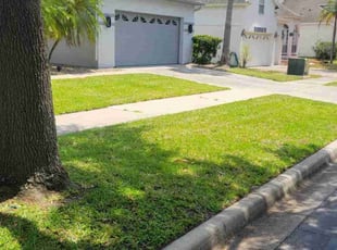 August D.'s Lawn Service service result