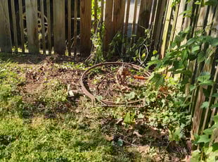Cleanups by Allan Roberts for Michael R. in Washington, DC