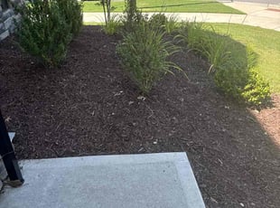 Cleanups by Charles Cox for George B. in Chapel Hill, NC