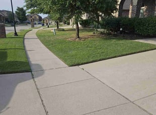 Tasha B.'s Yard Cutting service result