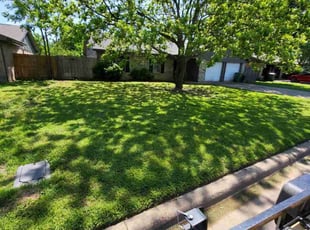 Renda M.'s Lawn Mowing Service service result