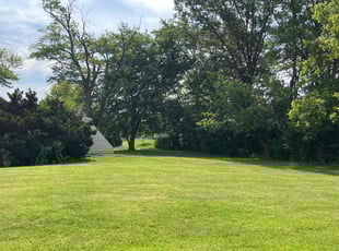 Lindsay D.'s Lawn Mowing service result