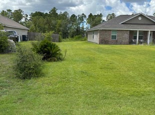 Candice F.'s Lawn Care service result