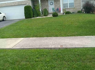 Julian B.'s Lawn Mowing Service service result