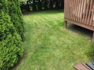 Jesse S.'s Lawn Care service result