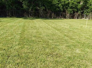 Braden W.'s Lawn Mowing service result