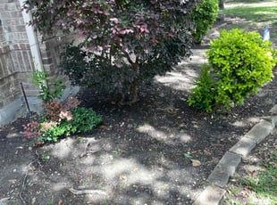 Weeding by Gabriel Piedra for Andy P. in Frisco, TX