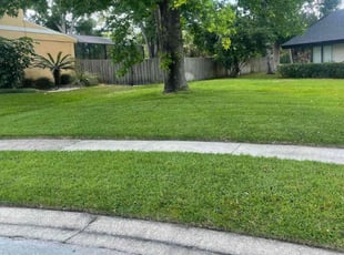 William p.'s Lawn Care service result