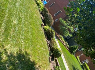 Bush Trimming by Delvon Jones for Arlene P. in Washington, DC
