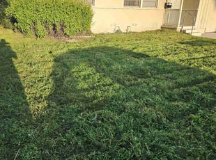 Julie d.'s Lawn Mowing Service service result