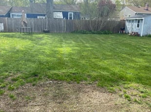Lisa G.'s Lawn Care service result