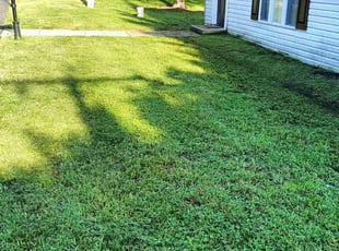 Nancy F.'s Lawn Maintenance service result