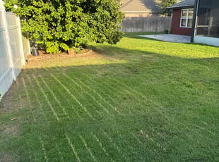 Dawn D.'s Lawn Care service result