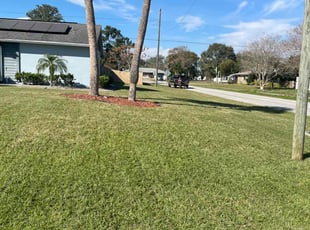 Aaron B.'s Lawn Service service result