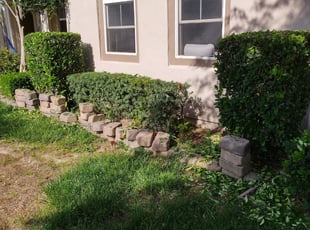 Bush Trimming by Rodrigo Rodriguez for Deanne M. in Riverside, CA