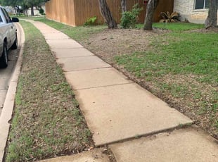 Leaf Removal by Jose Luis Rosas for Sean B. in Cedar Park, TX