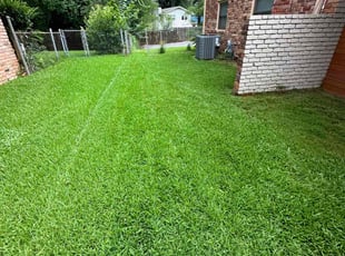 Daureen B.'s Lawn Maintenance service result