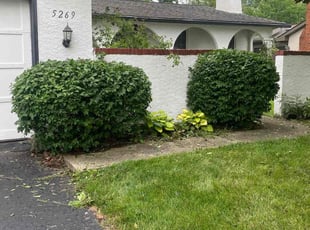 Bush Trimming by Edgar Hernandez for Glendara c. in Columbus, OH