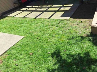 Brent C.'s Grass Cutting service result
