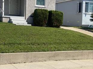 Bush Trimming by Carlos Romero for Fred S. in Hawthorne, CA