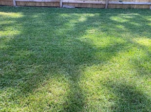 Kyle L.'s Lawn Mowing service result