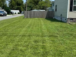 Debbie H.'s Lawn Care service result