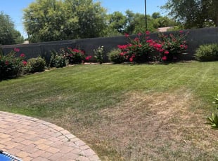 Weeding by Jonathan Bell for Ruth E. in Gilbert, AZ