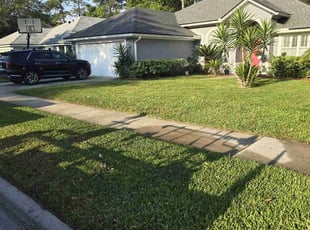 Connie P.'s Lawn Service service result