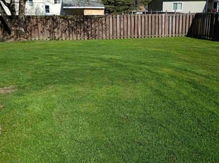 Diane R.'s Lawn Care service result