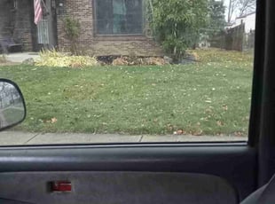 Leaf Removal by Elisha Nelson for Keith H. in Gahanna, OH