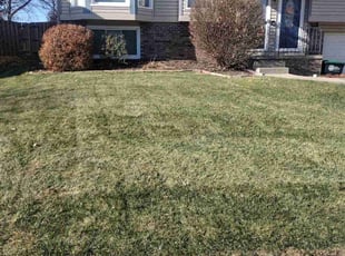 Leaf Removal by Tim Birch for William H. in Omaha, NE