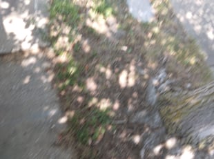 Cleanups by Andrew Hendrickson for Kay E. in North Kansas City, MO