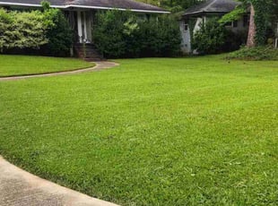 James M.'s Lawn Mowing Service service result
