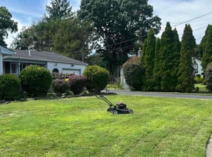 Nganda I.'s Lawn Service service result