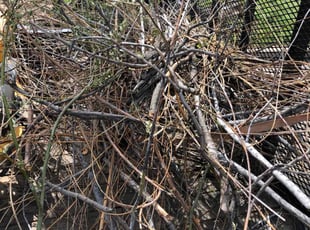 Cleanups by Paul Handley for Scott T. in Tulsa, OK