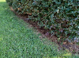 Weeding by Zantavia Williams for Deirdre E. in Chuluota, FL