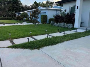 Mike M.'s Lawn Mowing service result