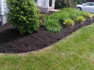 Mulching by John Bell for Rob R. in Walkersville, MD