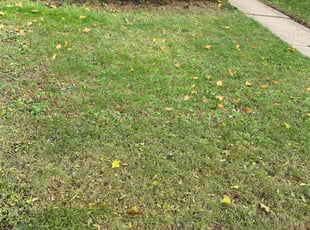 Cleanups by Kelvin Dertz for Lynn P. in Milwaukee, WI