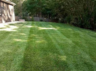 Rupel p.'s Lawn Mowing service result